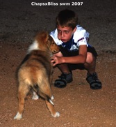 ChapsxBliss swm 2007-11-01 cute photo puppy with boy.jpg